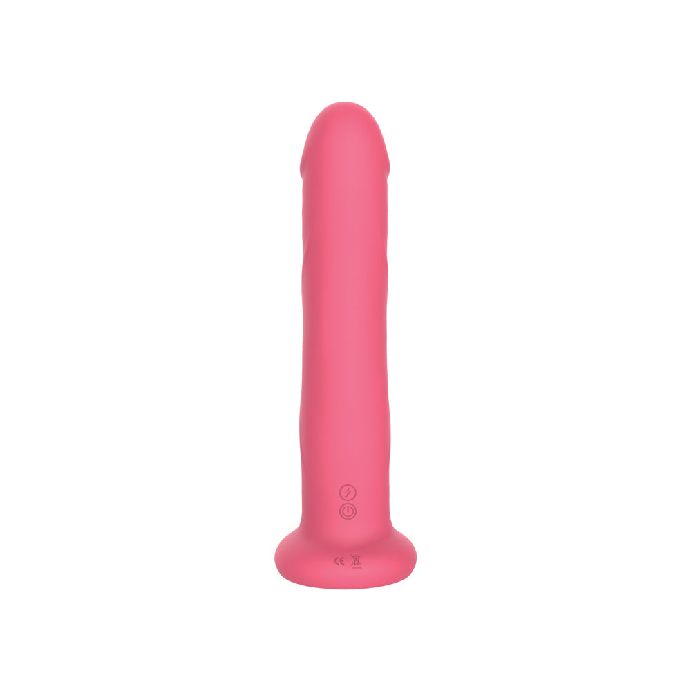 Suction Cup Dual Vibrator - Nobu Roxi